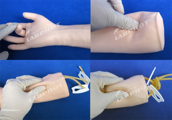 Sales Injection Training Model for Teaching Intravenous Infusion and Blood Transfusion