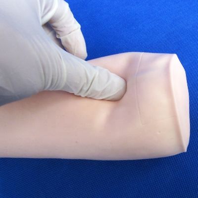 Medical Science Economic Soft Venipuncture and IV Injection Teaching Model Elbow Puncture Simulator