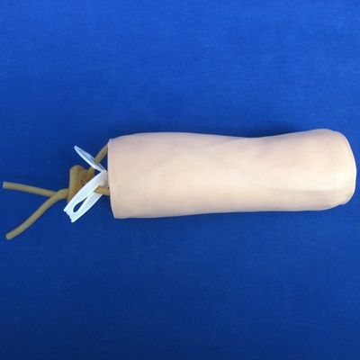 Medical Science Economic Soft Venipuncture and IV Injection Teaching Model Elbow Puncture Simulator