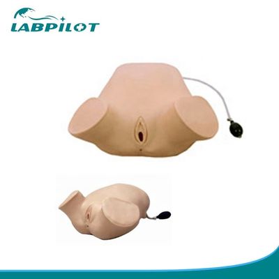 PVC Pregnant Women Four-step Palpation Leopold Maneuvers Vaginal Examination Simulator