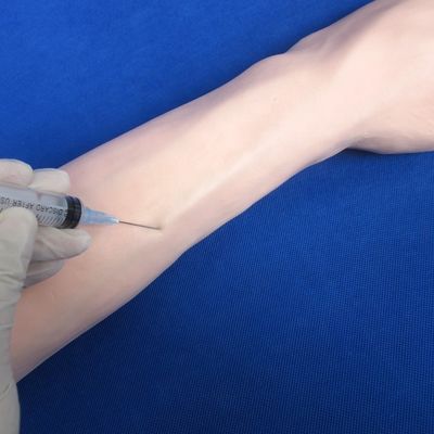 Comprehensive Venipuncture Training Arm Human Life Size Model for IV and IM Injections