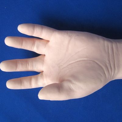 Comprehensive Venipuncture Training Arm Human Life Size Model for IV and IM Injections