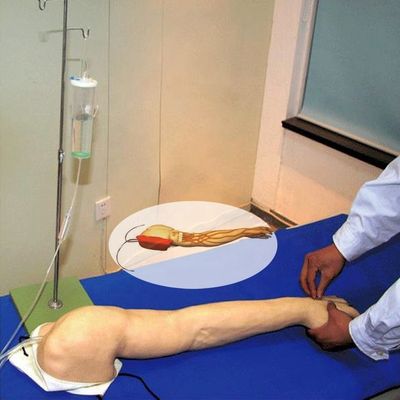 Comprehensive Venipuncture Training Arm Human Life Size Model for IV and IM Injections