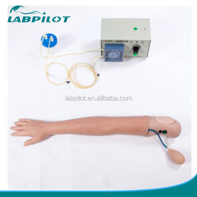 Advanced Hemodialysis Simulated Human Arm Model for Clinical Nursing Training Models