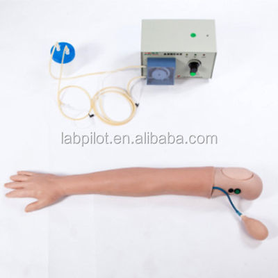 Advanced Hemodialysis Simulated Human Arm Model for Clinical Nursing Training Models