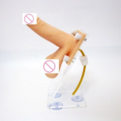 Penis Simulation and Contraception Guidance Teaching Model for Medical Science Classes