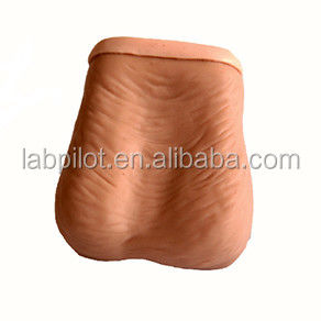 Realistic Testicular Examination Simulator featuring Human Life Size and Advanced PVC