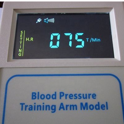 Advanced PVC Multi-functional Nursing Manikin for Comprehensive Patient Care Training