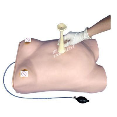 Electronic Maternity Palpation Model Manikin with Gynecological Auscultation Function