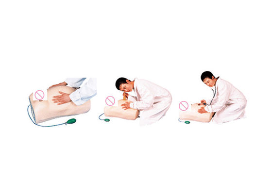 Electronic Maternity Palpation Model Manikin with Gynecological Auscultation Function
