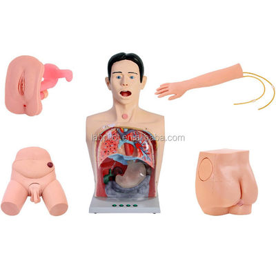 Transparent Gastric Lavage and Nasal Feeding Simulator for Clinical Nursing Education