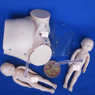 Human Life Size Pregnant Doll Baby Labor Delivery Simulator for Medical Science Model