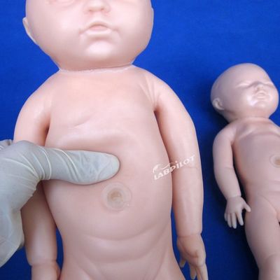 Human Life Size Pregnant Doll Baby Labor Delivery Simulator for Medical Science Model
