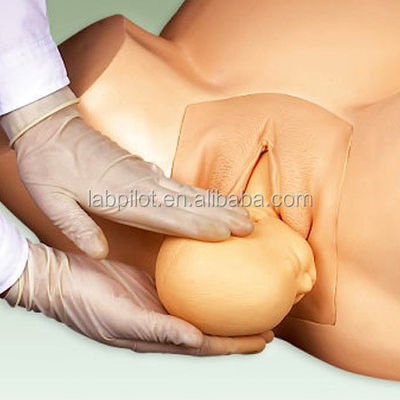Advanced PVC Manikin Pregnancy Childbirth Simulator for Vacuum Extraction Training