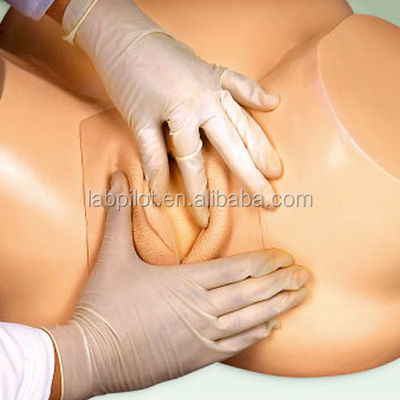 Advanced PVC Manikin Pregnancy Childbirth Simulator for Vacuum Extraction Training
