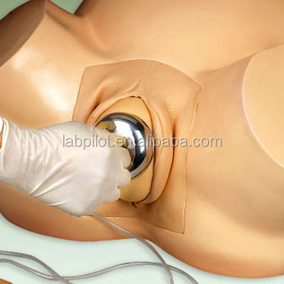 Advanced PVC Manikin Pregnancy Childbirth Simulator for Vacuum Extraction Training