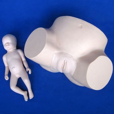 Advanced PVC Manikin Pregnancy Childbirth Simulator for Vacuum Extraction Training