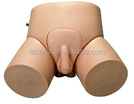 Electronic Urethral Catheterization Training Model for Male and Female Human Life Size