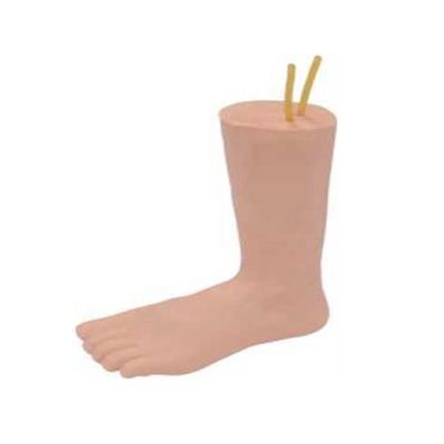 Effective Foot Model for Teaching Intravenous Venipuncture in Clinical Nursing Education