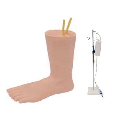 Effective Foot Model for Teaching Intravenous Venipuncture in Clinical Nursing Education