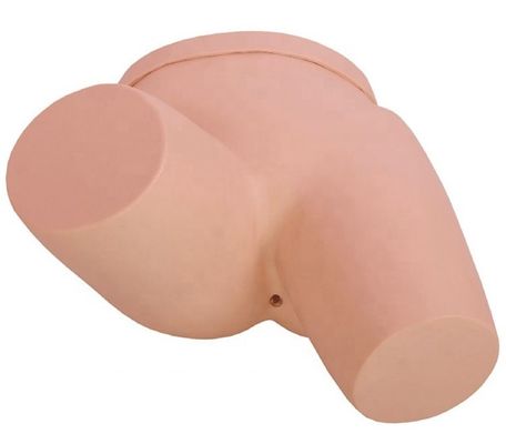 Upgrade Clinical Nursing Training with Enema Training Simulator Nursing Model