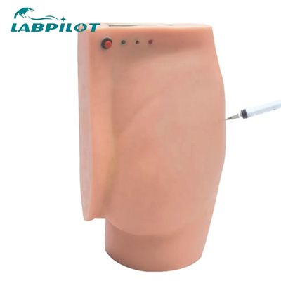 Patients Care Demonstration Buttocks Injection Teaching Simulator with Warning Lights