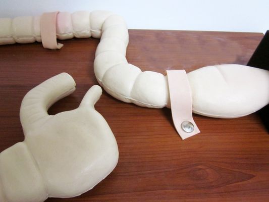 Manikin for Sigmoidoscope Examination Training Advanced Intestine Model Simulator