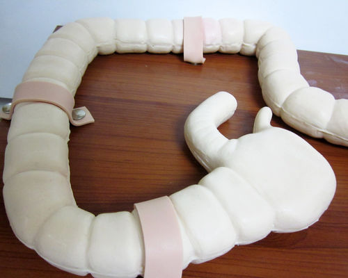 Manikin for Sigmoidoscope Examination Training Advanced Intestine Model Simulator