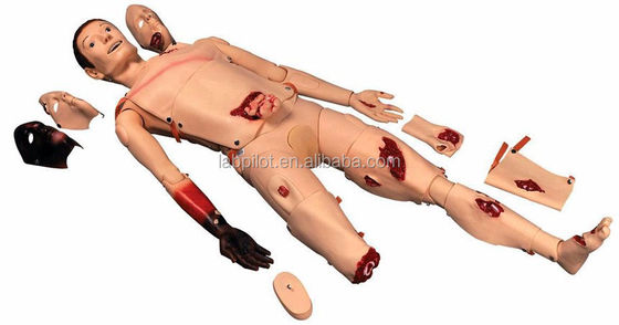 Realistic Human Manikin for Teaching Trauma Simulator Burn Face and Fracture Wound Care