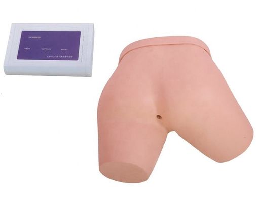 Medical Science Teaching Simulators Electronic Enema Simulator Nursing Training Model