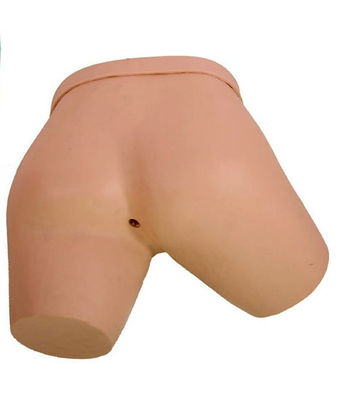Medical Science Teaching Simulators Electronic Enema Simulator Nursing Training Model