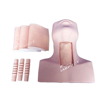 Medical Science Tracheostomy Nursing Training Manikin Optimal for Education
