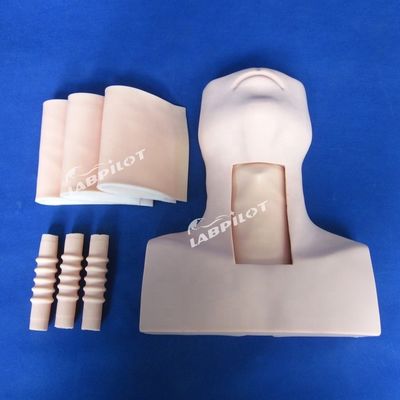 Medical Science Tracheostomy Nursing Training Manikin Optimal for Education