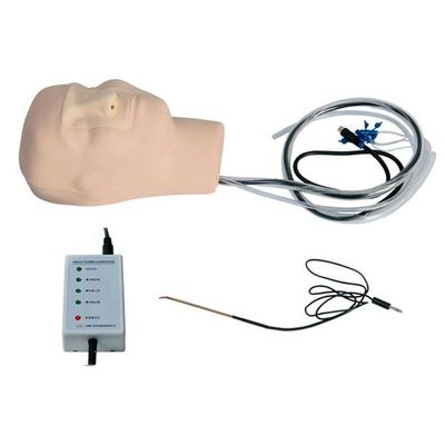 Nasal Hemorrhage Simulator for Effective Nursing Education Epistaxis Hemostasis Model
