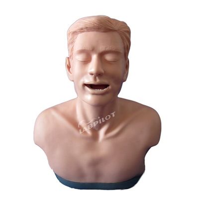 Thyroid Examination Training Model for Anatomical Teaching and Function Demonstration