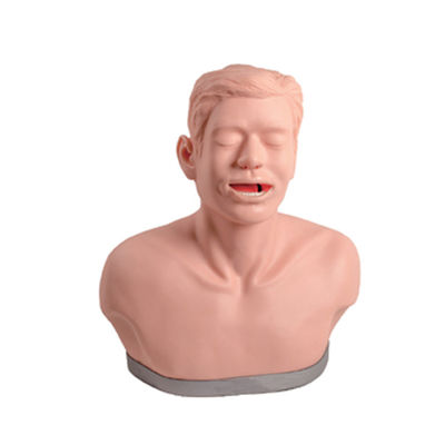 Thyroid Examination Training Model for Anatomical Teaching and Function Demonstration