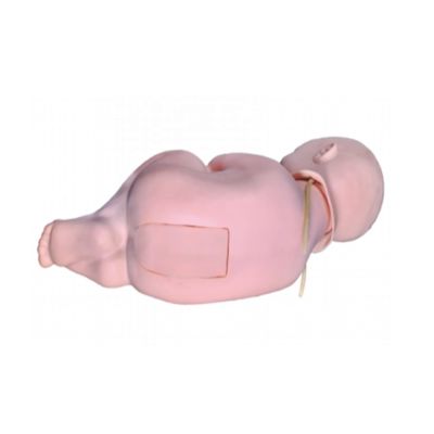 Infant Lumbar Puncture Training Doll for Pediatric Mannequin in Medical Nurses Care