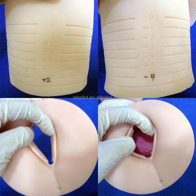 Revolutionary Obstetric Manikin with Cervical Dilatation and Effacement Demonstration
