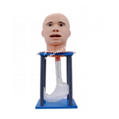 Adult Gastric Lavage Manikin Insertion of Nasal Feeding Tubes Nursing Doll