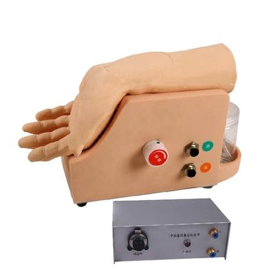 Arterial Blood Gas Analysis Model for Human Artery Puncture Training Skill Development
