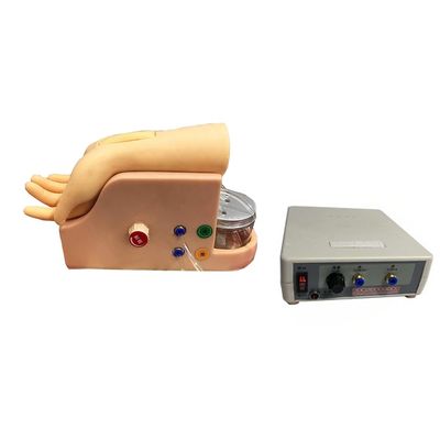 Arterial Blood Gas Analysis Model for Human Artery Puncture Training Skill Development