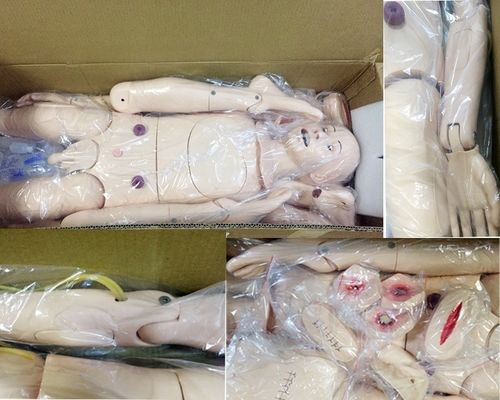 Human Life Size Full-functional Adult Nursing Manikin with Blood Pressure Simulator Medical Training Dummy