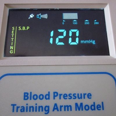 Human Life Size Full-functional Adult Nursing Manikin with Blood Pressure Simulator Medical Training Dummy