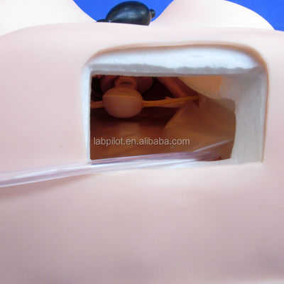 User-Friendly Basic Gynecological Examination Model for Patients Care Demonstration