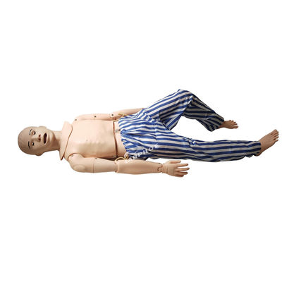 Medical Science Training Mannequin Advanced PVC Nasogastric Tube Nursing Simulator