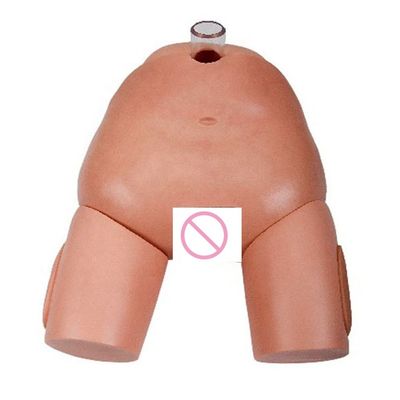 PVC Female Urinary Puncture Operation Simulator for Catheterization Skills