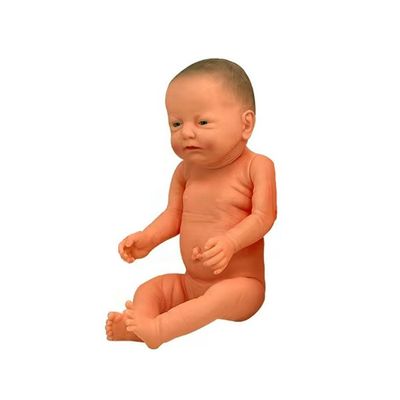 Economic Nurse School Training Model with Flexible Joints and Realistic Features