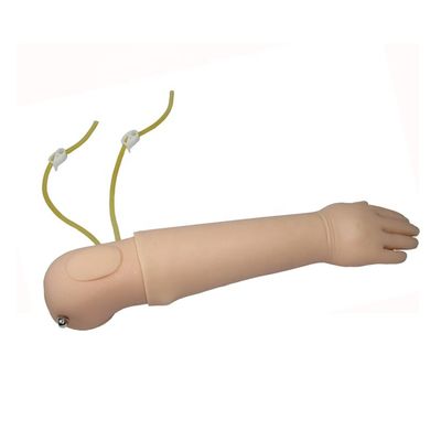 Human Life Size Manikin Portable Infant Venipuncture Training Arm Model IV Arm Injection Teaching Hand Phantom