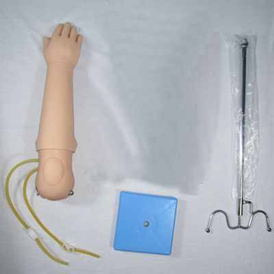 Human Life Size Manikin Portable Infant Venipuncture Training Arm Model IV Arm Injection Teaching Hand Phantom