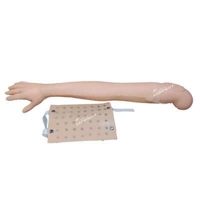 Full Arm Simulator Clinical Teaching for Intradermal Injection and Venipuncture Practice